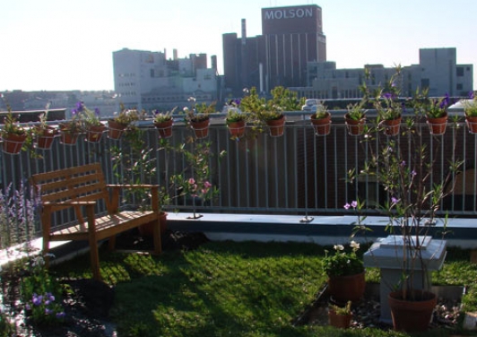 Terrasse avec gazon et jardin